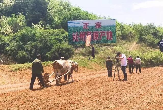 长治推出100个休闲农业和乡村旅游精品点，咱们村也上榜！