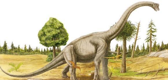 世界上十大体型最大的恐龙，你知道几个？