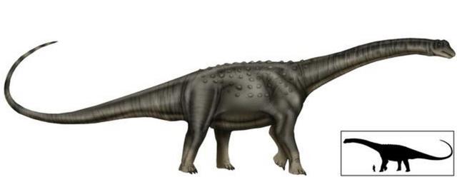 世界上十大体型最大的恐龙，你知道几个？