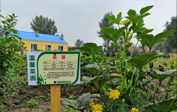 创建“温馨村小” 加强吉林省乡村小规模学校建设
