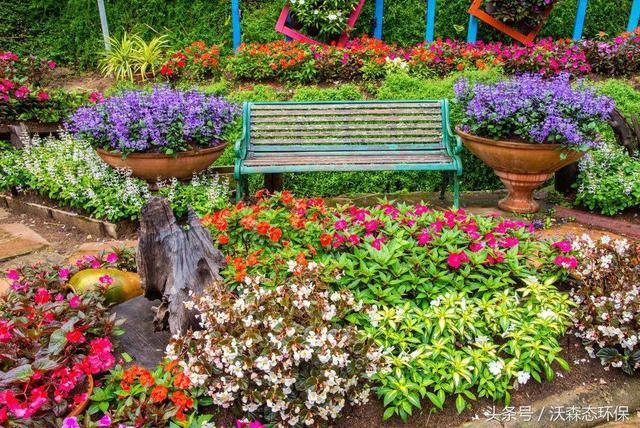 40个色彩缤纷的花园创意，颜色大爆炸，整个花园变得无比漂亮！