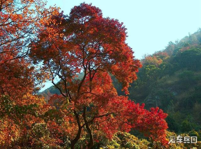 这辆SUV的续航里程居然是“假”的，连老司机都上当了