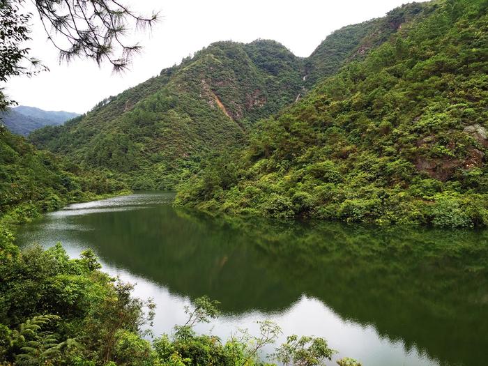 这条溪够野，就在广东江门彩虹岭脚下，夏天来溯溪泡潭最好玩！