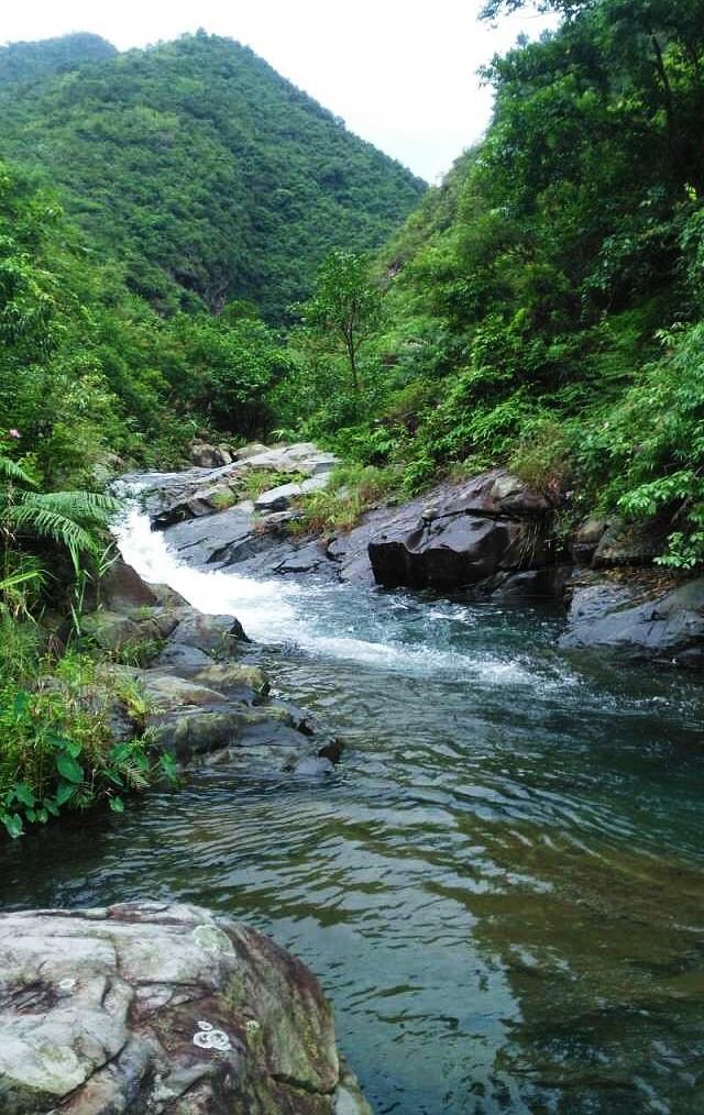 这条溪够野，就在广东江门彩虹岭脚下，夏天来溯溪泡潭最好玩！