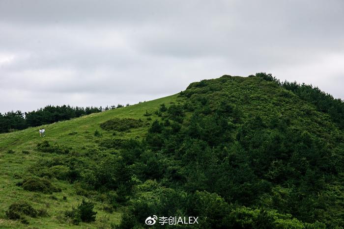 韩国｜去济州岛4天我是这样玩的（附详细攻略）