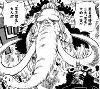 海贼王里一共出现过多少个人物？我来为你盘点~（一）