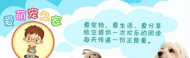 中国的原生犬种有哪些，你知道吗？