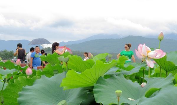 江油全年乡村旅游节大合集, 赶紧收藏, 不愁没地方玩了!