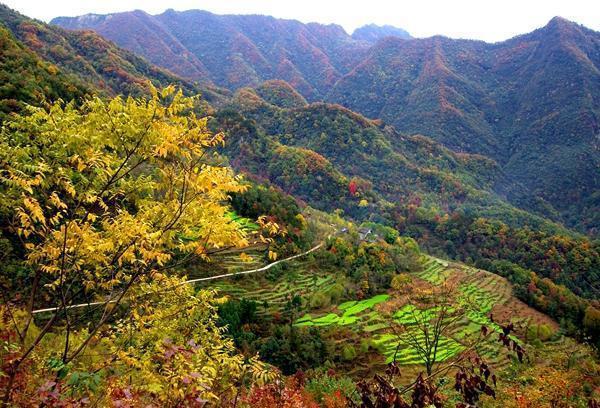 江油全年乡村旅游节大合集, 赶紧收藏, 不愁没地方玩了!