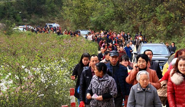 江油全年乡村旅游节大合集, 赶紧收藏, 不愁没地方玩了!