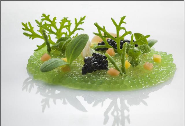 涨知识:米其林餐厅的一星、二星、三星到底差别在哪里?