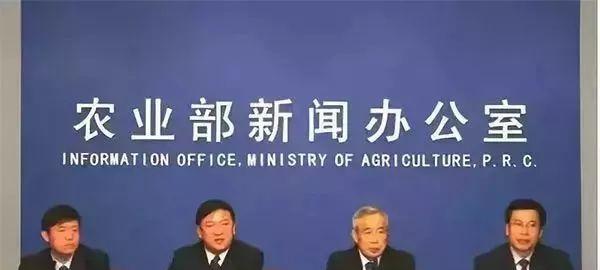 2019年中央投资农业绿色发展工程重点补助的5个项目有哪些？