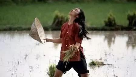 15部电影告诉你越战对美国影响有多深远