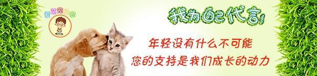 中国的原生犬种有哪些，你知道吗？