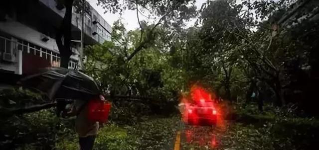 台风山竹过后，珠海多车受损，这些情况通通可以理赔！