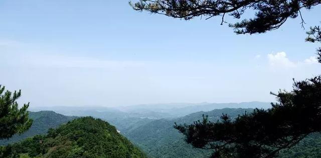 “满槐全席槐花宴，万亩槐林香满山” 给你一座天上人间