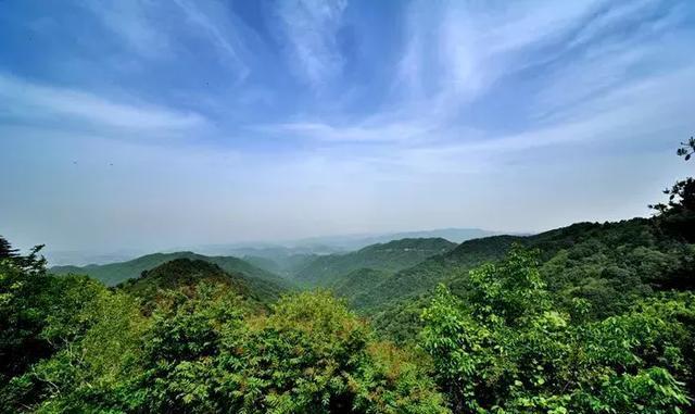 “满槐全席槐花宴，万亩槐林香满山” 给你一座天上人间