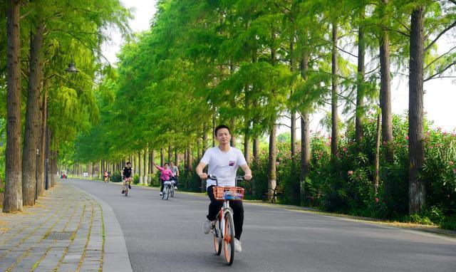 武汉东湖绿道，原来这么美！