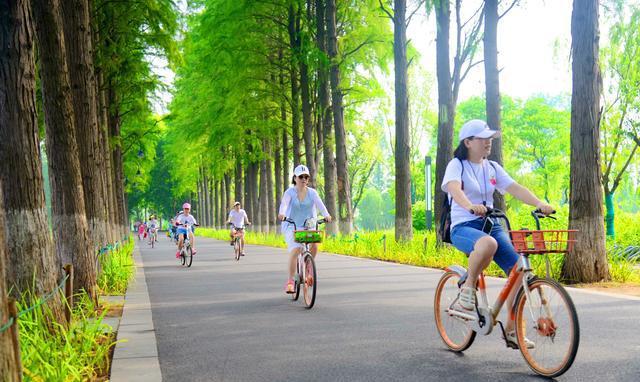 武汉东湖绿道，原来这么美！