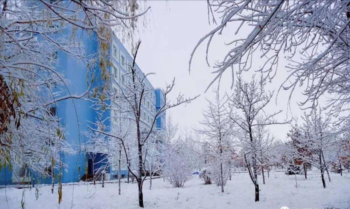 你好，伊犁师范大学！真的要改名了！