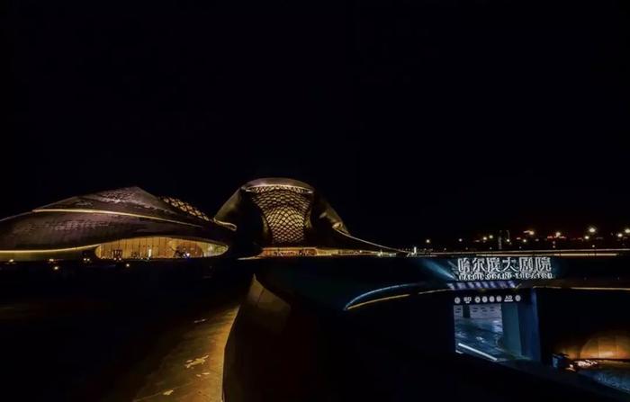 这座桥不小心成了网红！哈尔滨最美夜景地，今夜你会不会来？