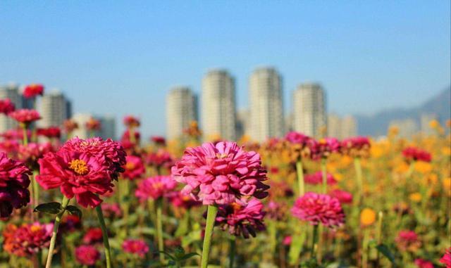 传说中神仙居住的“三山一水”，原来在福建这个地方