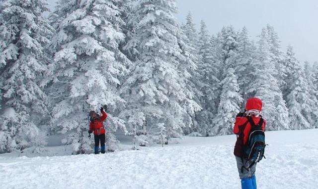 「东游记」郑州到吉林雾凇岛、长白山魔界、童话雪乡双飞六日游