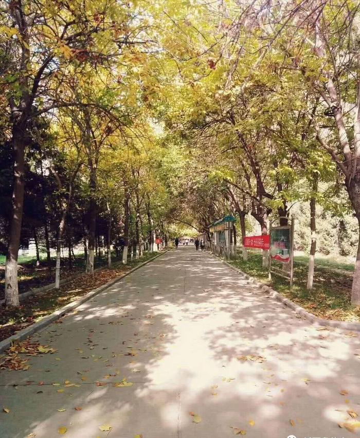 你好，伊犁师范大学！真的要改名了！