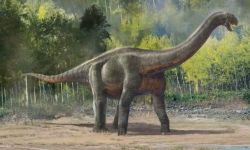 恐龙那么大的身体, 那么小的脑袋证明恐龙很笨吗?