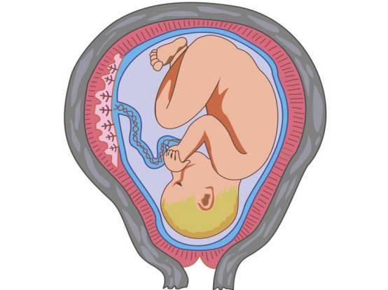孕晚期便秘能用力排便吗？会不会挤压到胎宝宝？
