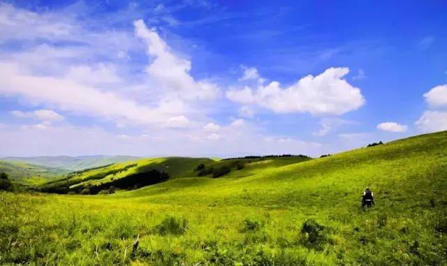 岚县白龙山第十七届旅游文化节盛装启幕 白龙山 岚县 县令 新浪新闻