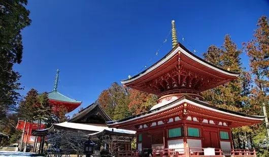 熊野古道 9天 高野山 和歌山 白滨 新宫 大阪