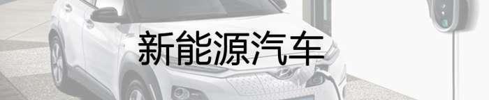 现代汽车核心机密首次公开，领先自主10年？