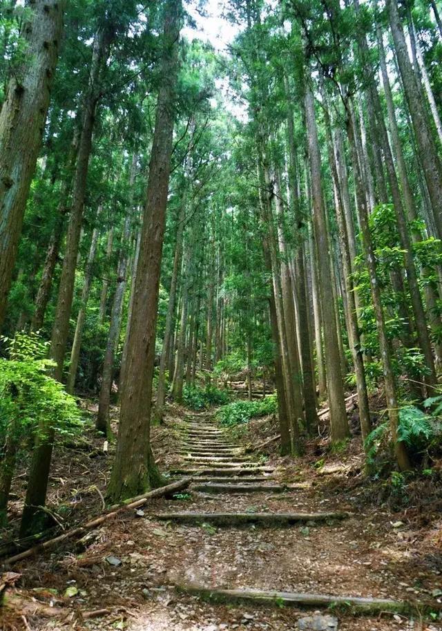 熊野古道 9天 高野山 和歌山 白滨 新宫 大阪