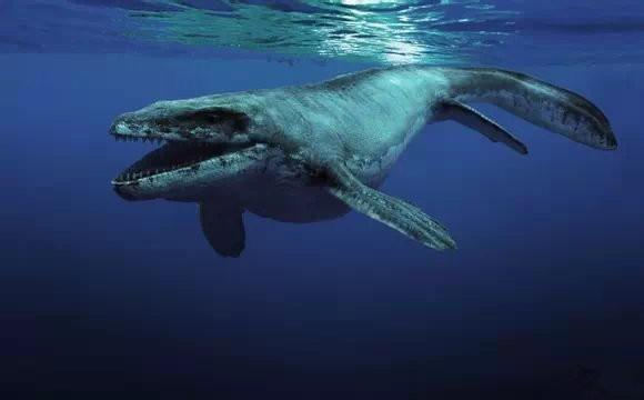 深洋巨兽! 顶级掠食者, 沧龙是如何进化成白垩纪海洋霸主的