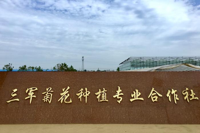 灵秀湖北 茶圣故里天门好玩二日游