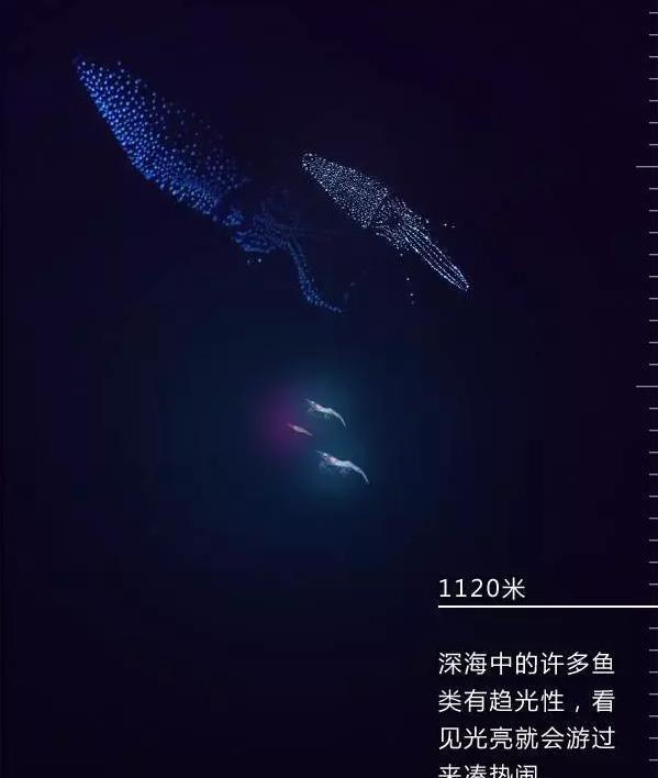进入恐惧的深渊电影