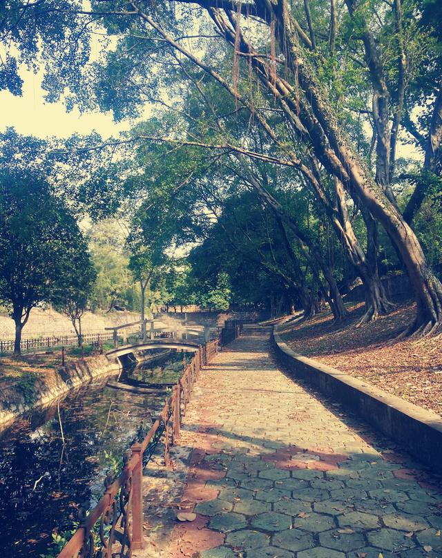 当孩子补课有这几样东西,成绩想不好都难!