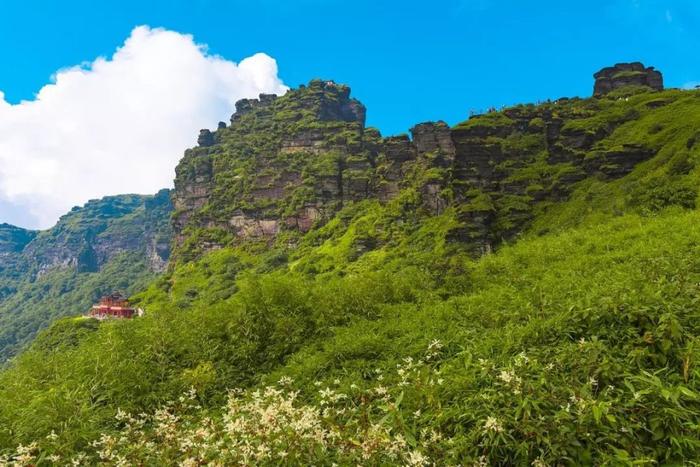 新晋世界遗产梵净山，一座隐藏在贵州深山的“天空之城”