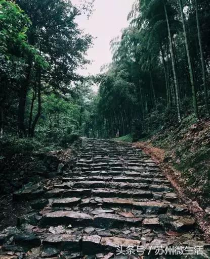 江浙沪最著名的6条绝美古道，走下来的都被美景征服了！