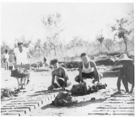 石河子八一毛纺织厂建厂始末：热血写春秋 峥嵘岁月稠