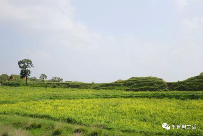 拍《驴得水》的那个地方，8月2号起首届大河堡旅游季震撼来袭！