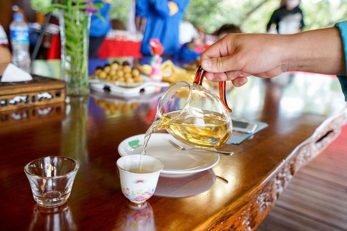 去普洱喝普洱茶！喝石斛汁、吃野生蜂巢蜜味同嚼蜡是怎样的体验？