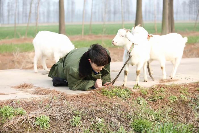 张艺兴《极挑4》曝光原名 放羊少年张加帅路边吃草