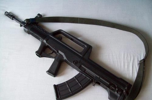 新中国成立以来的步枪发展史，总有几把你不知道的！