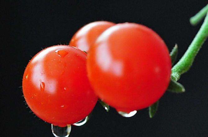 最强减肥的4大蔬菜，番茄上榜，最后一种为大多数人都想吃！
