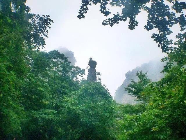 准备去张家界旅游,有口碑好的当地导游能推荐的吗?