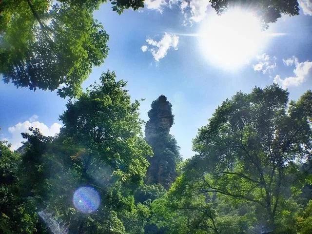 准备去张家界旅游,有口碑好的当地导游能推荐的吗?