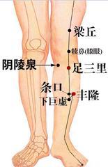 夏季体内湿气重？按摩这4个“排湿穴”就可以帮到你