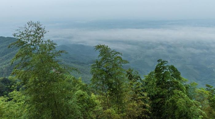 北纬28度的四川，竟私藏着一片绿色王国，竹林流水，宛如仙境